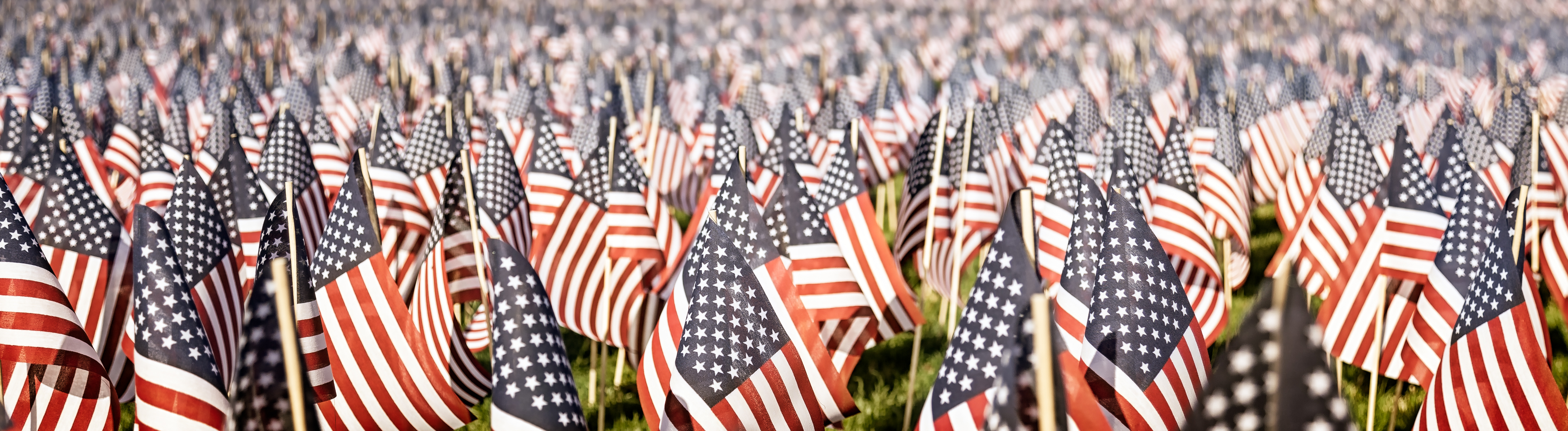 United States Flags