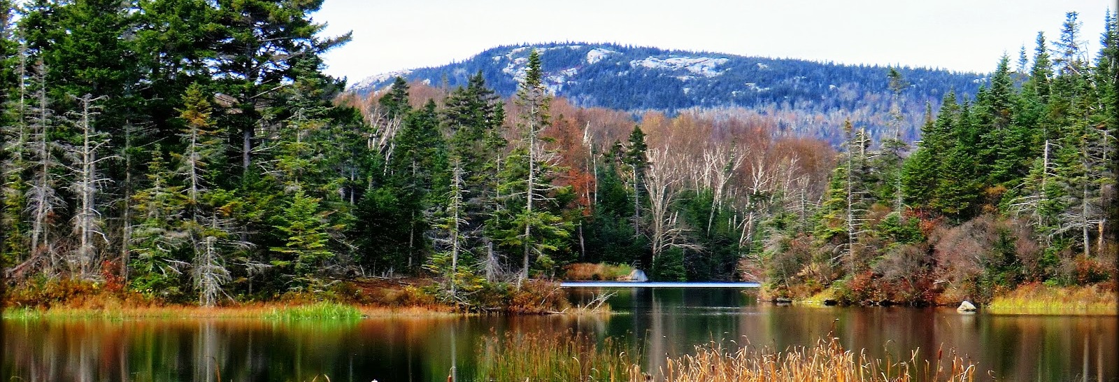 Long Pond, Benton, NH