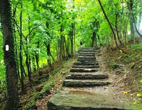 Appalachian Trail, Benton, NH