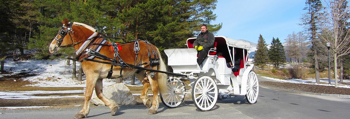 Carriage Rides at Bretton Woods, NH