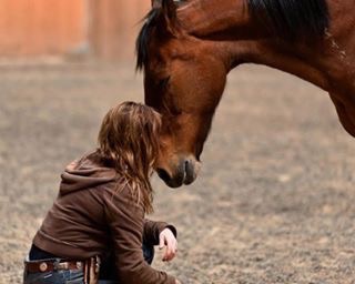 Human Horse Balance North Conway, NH