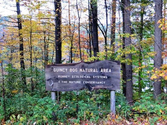 Quincy Bog Natrual Trail, Rumney, NH