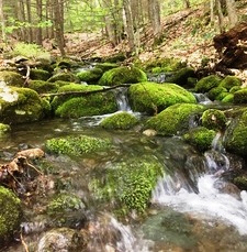 Rumney Rocks Day Use Area, Rumney, NH