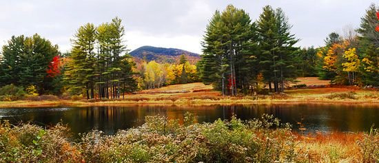 Chapman Sanctuary, Sandwich, NH