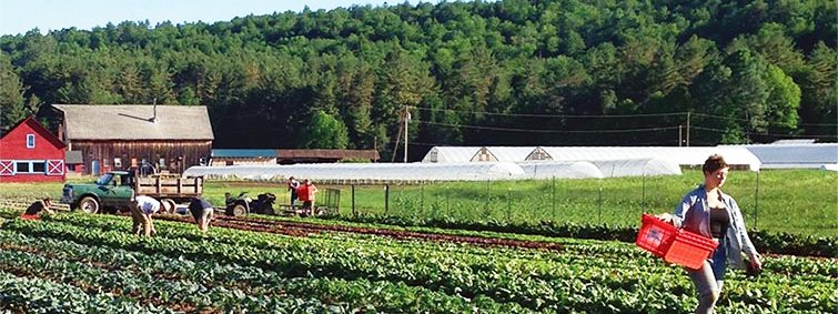 Ski Hearth Farm, Sugar Hill, NH