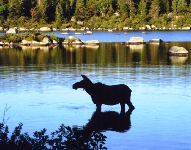 Russell Pond, Woodstock, NH