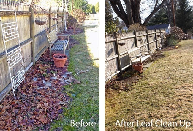 Before and after raking