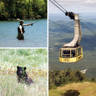 Cannon Mountain Ski Area