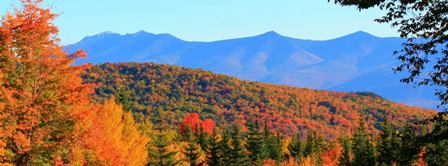 Buying a Home in the Fall