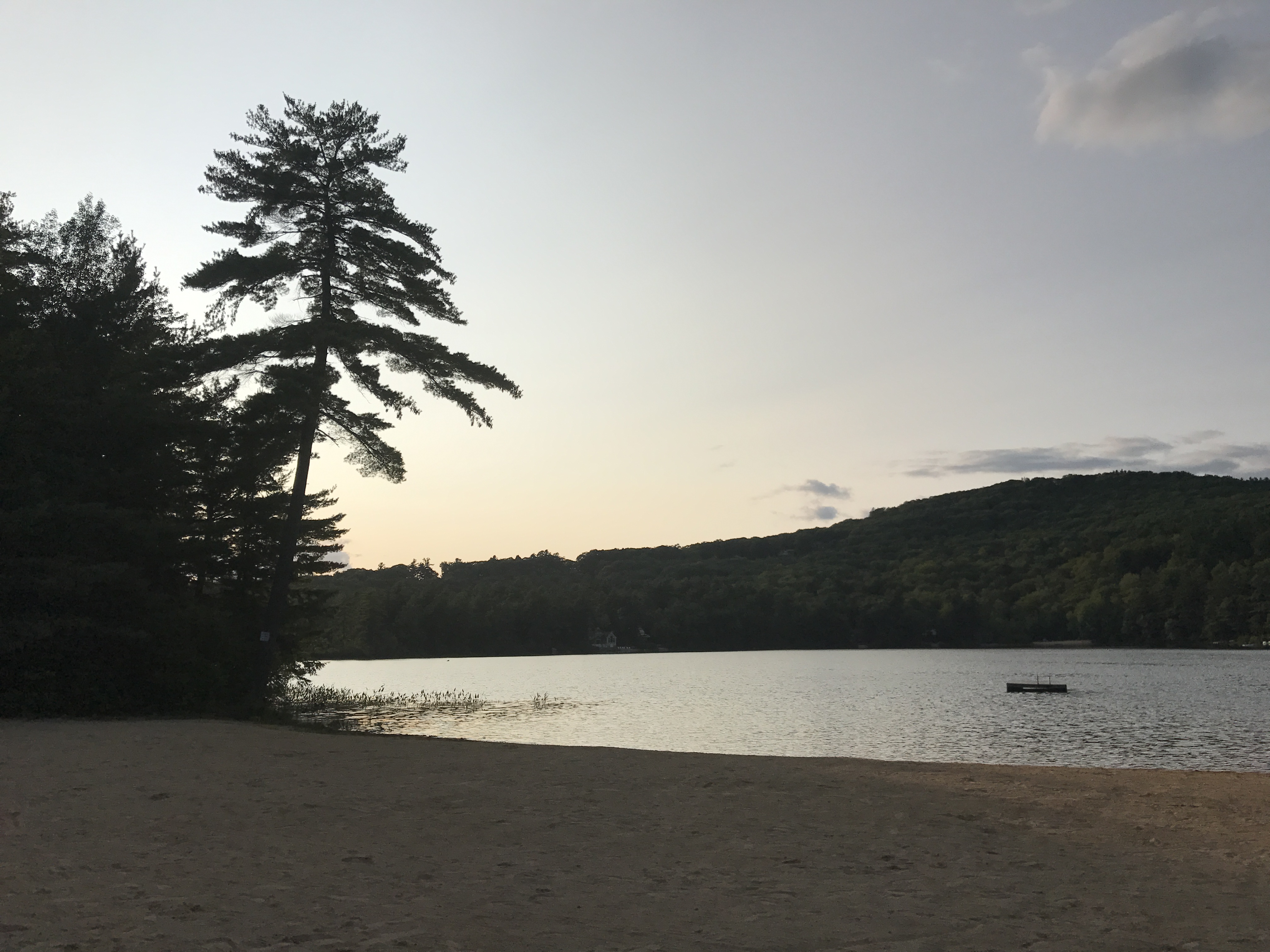 Eidelweiss Homes For Sale Blue Moose Vacations