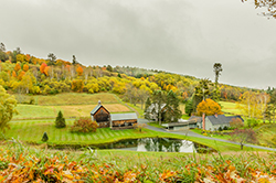 Bradford VT