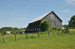 A rustic barn located in the rolling pastures in the town of Lyme, NH