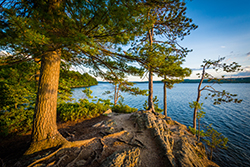 Scenic view of a body of water as seen through the forest at sunset. Piermont NH
