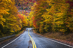 A scenic image of a winding road surrounded by vibrant foliage in Plainfield, NH