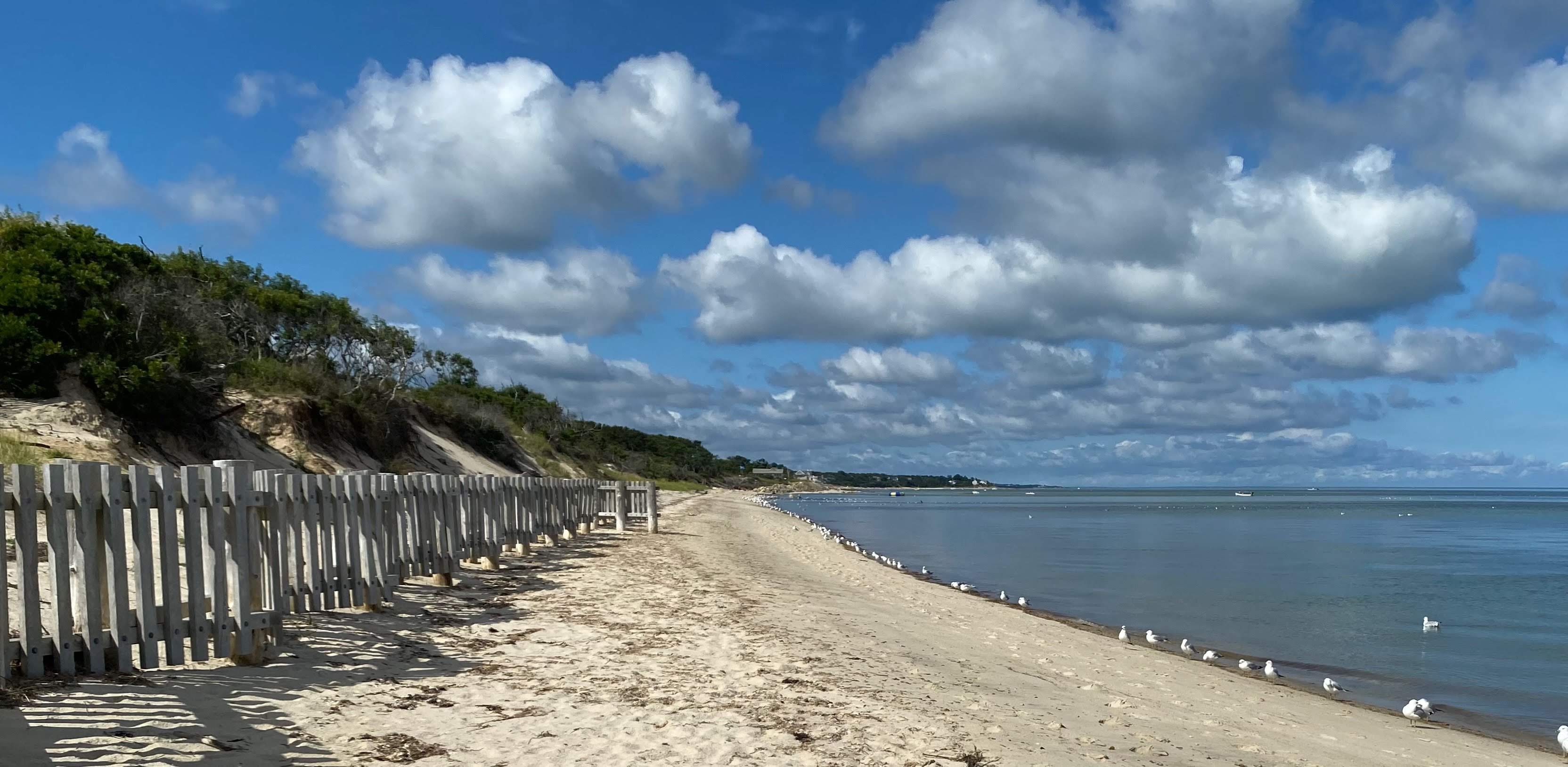 Sea Camps Beach