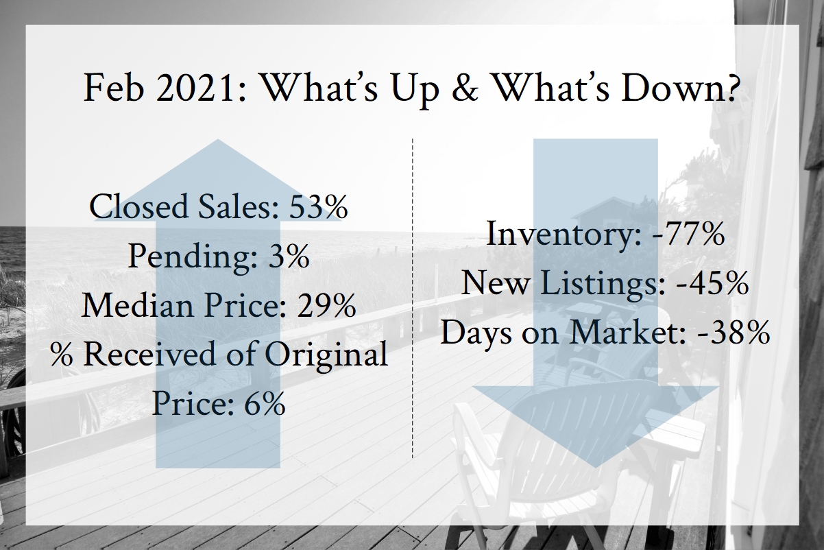 Feb Market update