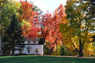 Home in New England