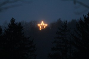 mt tom star close up