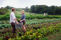 Community Farming in Barnard Vermont