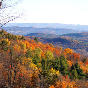 Mount Hunger Fall Foliage