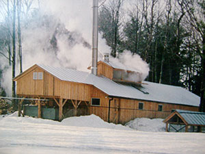 Sugaring in Woodstock Vermont