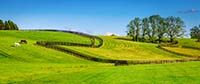 Upper Valley Farm