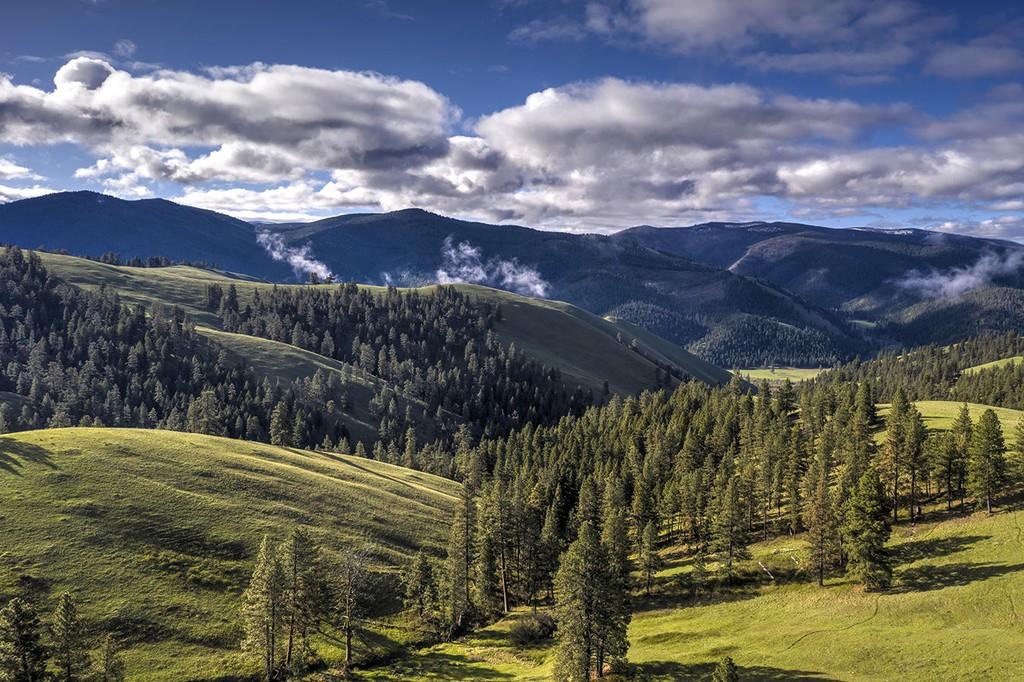 Montana
