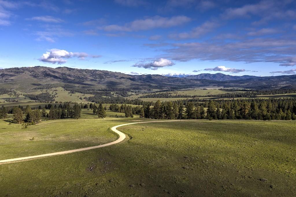 Montana