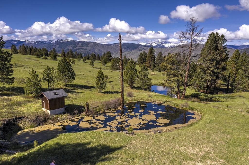 Montana