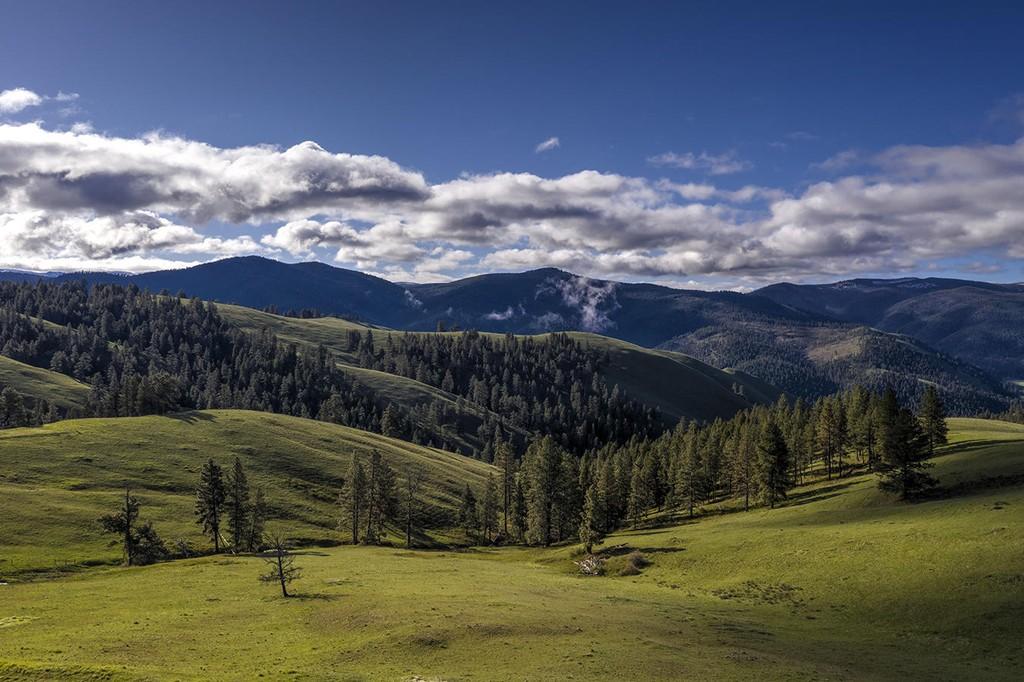 Montana