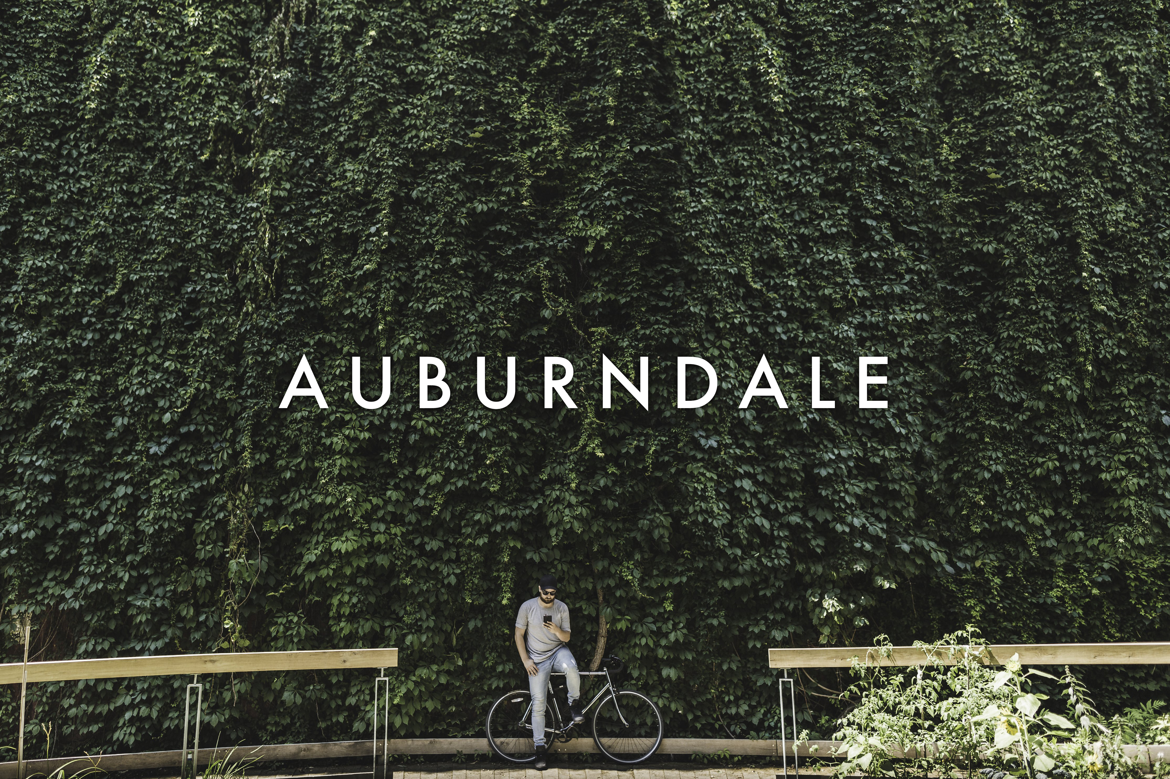 Auburndale, Newton, MA: Village