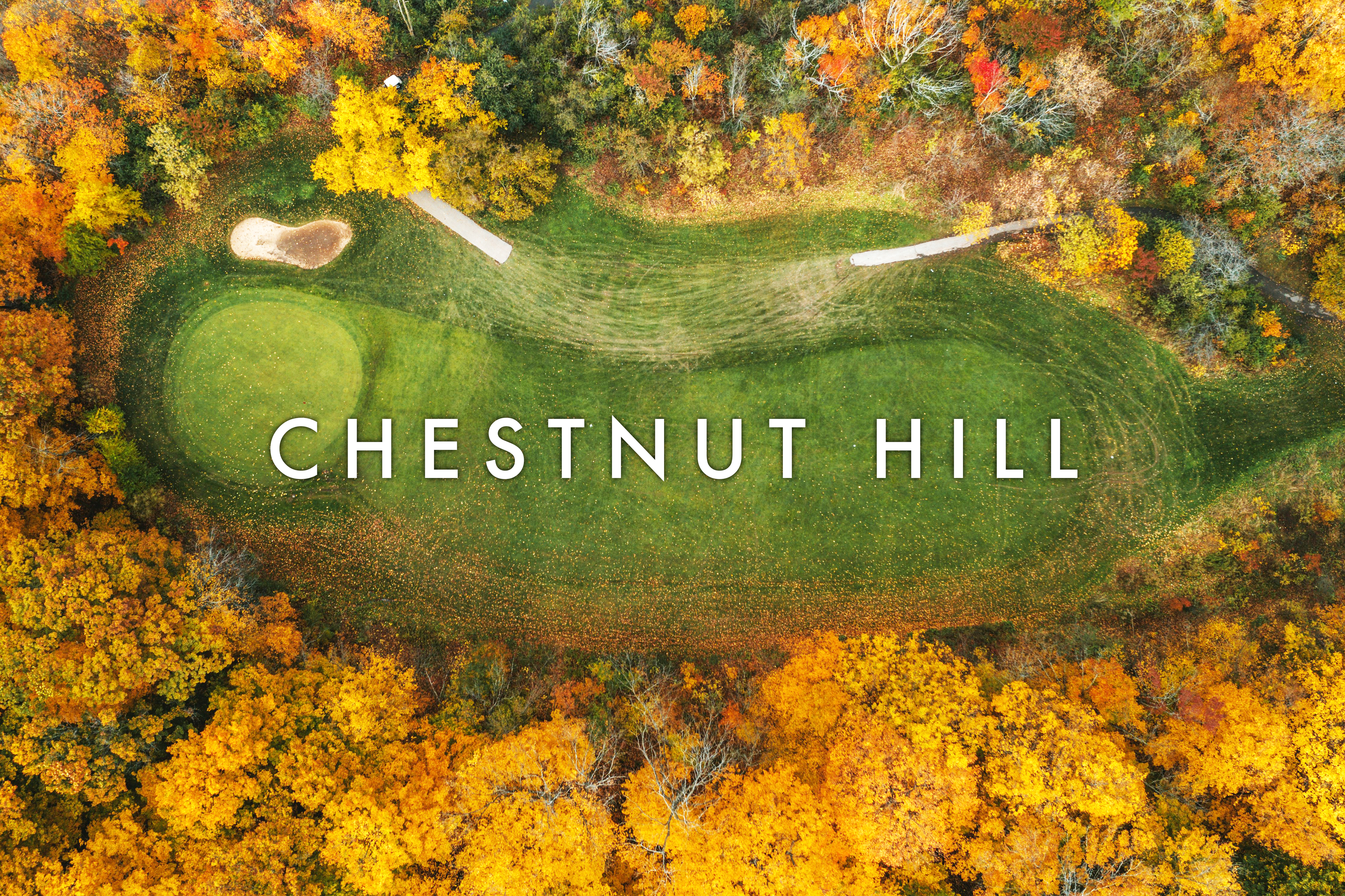 Chestnut Hill, Newton, MA: Village