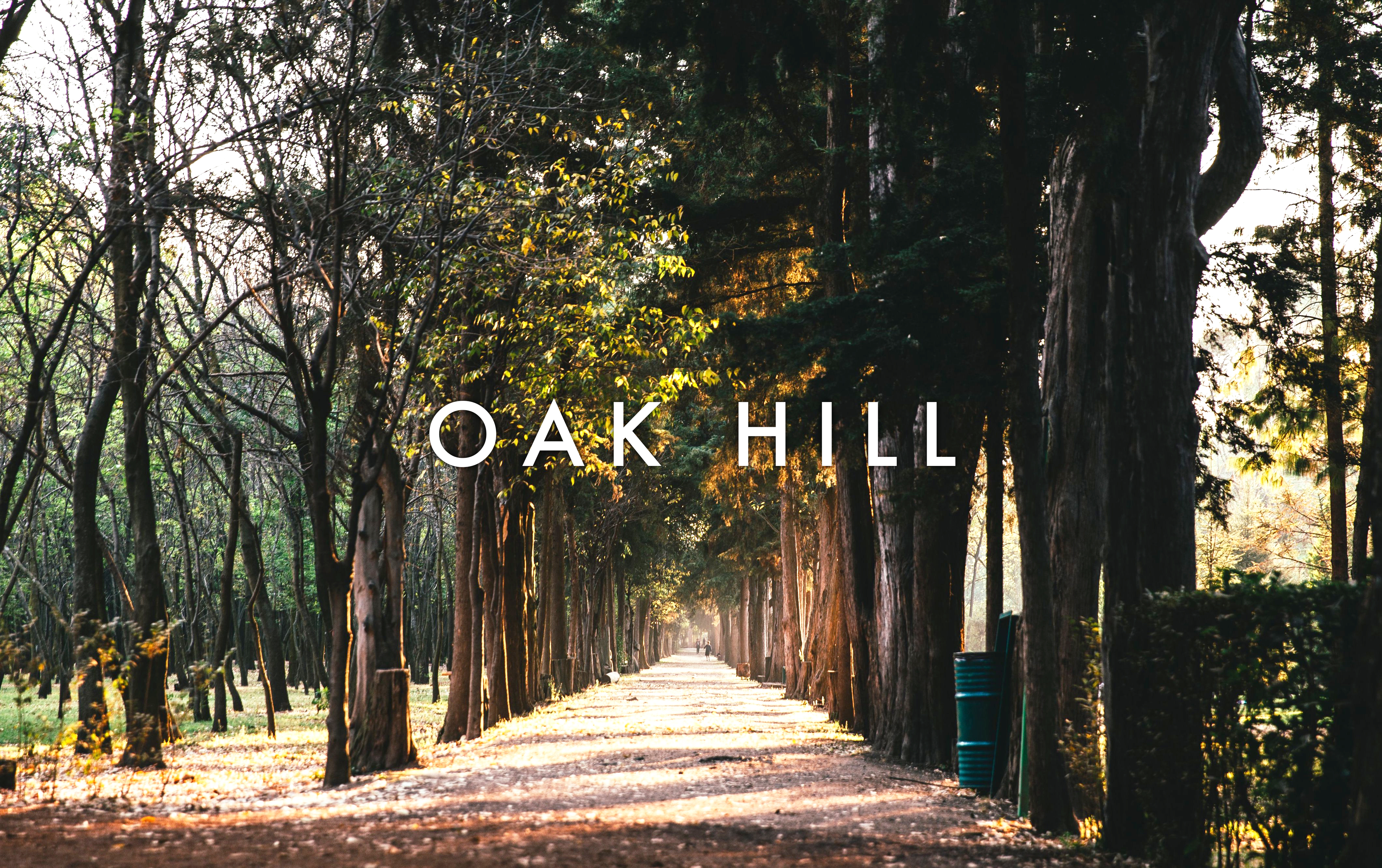Oak Hill, Newton, MA: Village