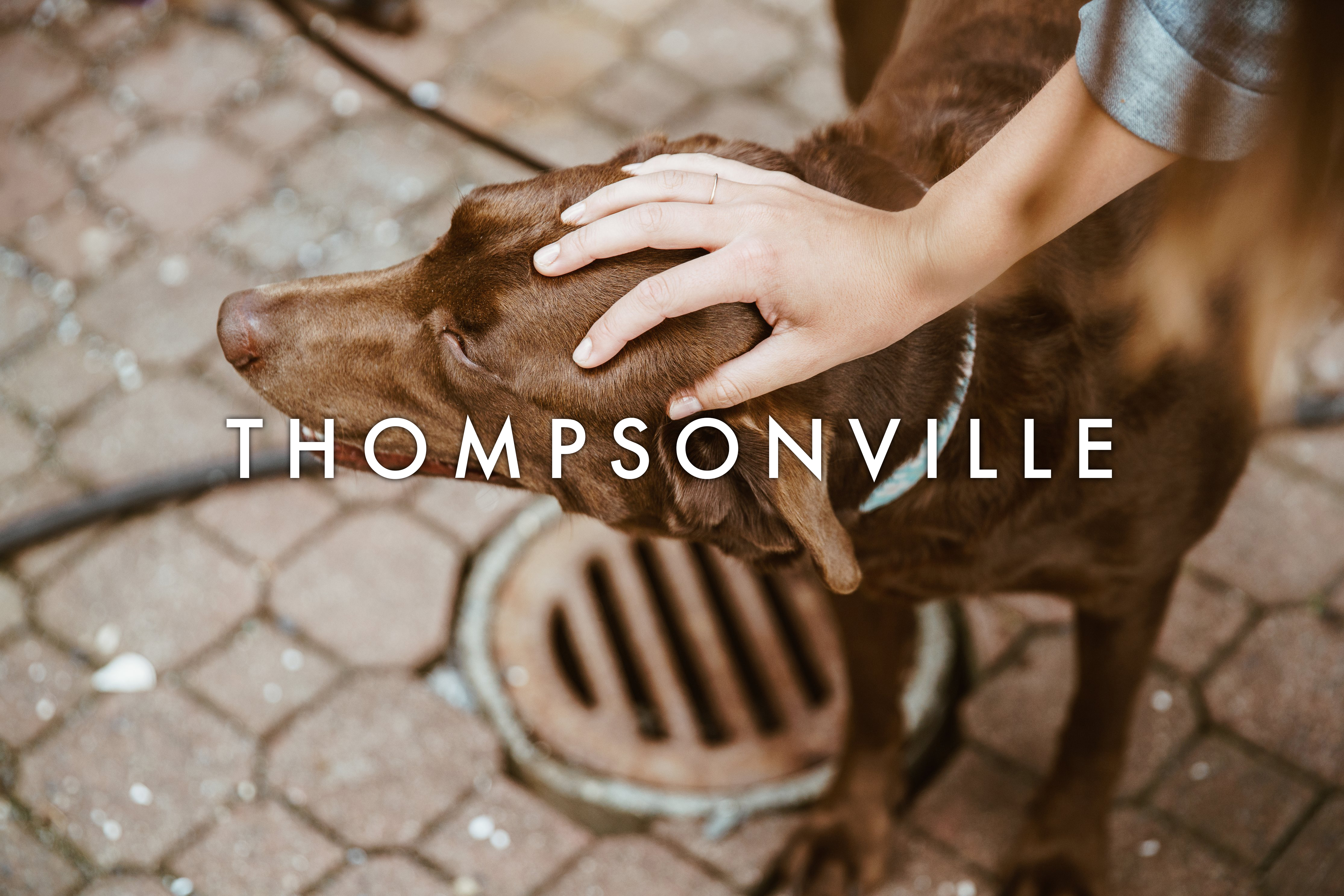 Thompsonville, Newton, MA: Village