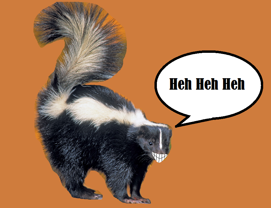Skunk Laughing