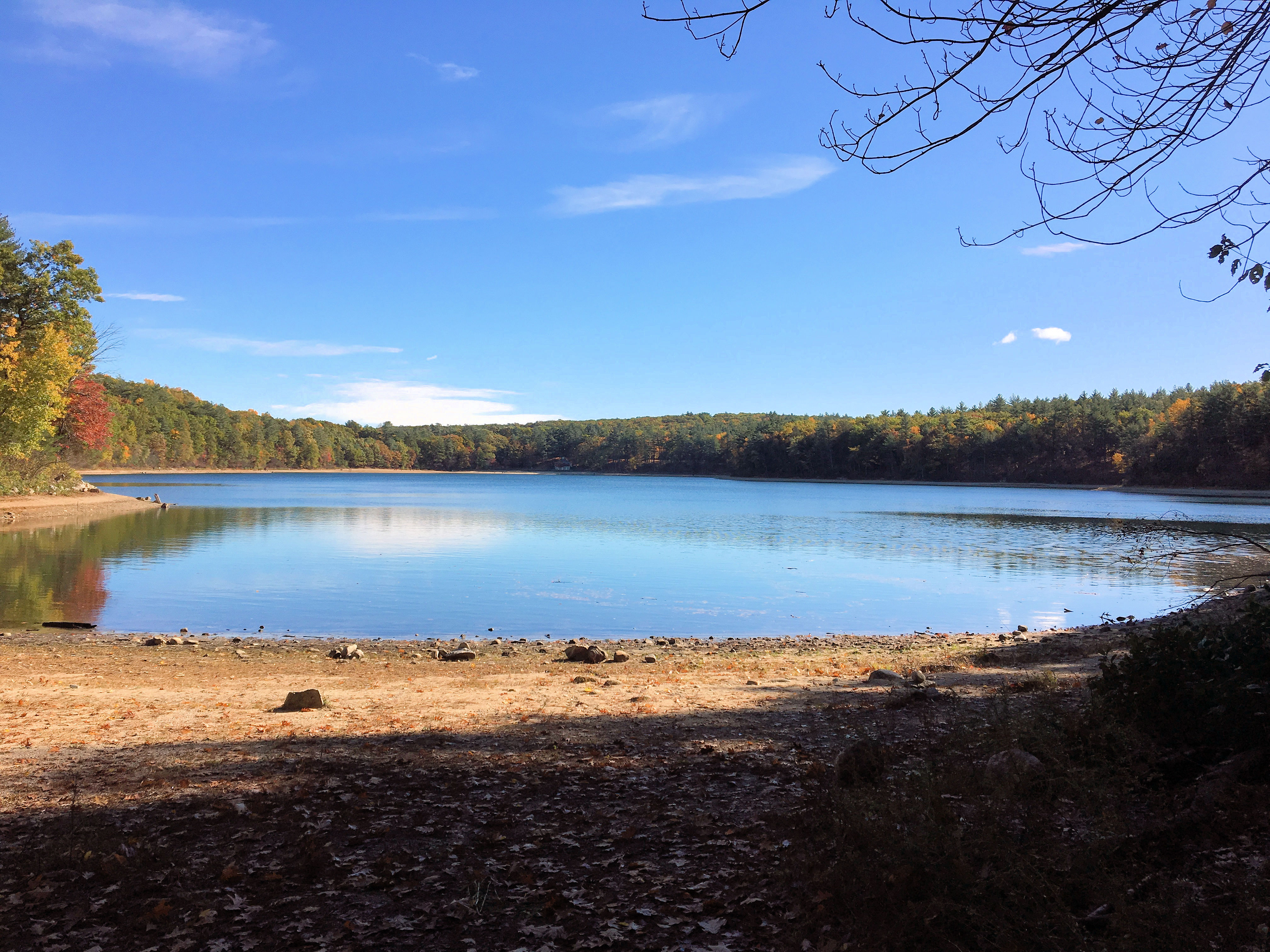 Walden Pond
