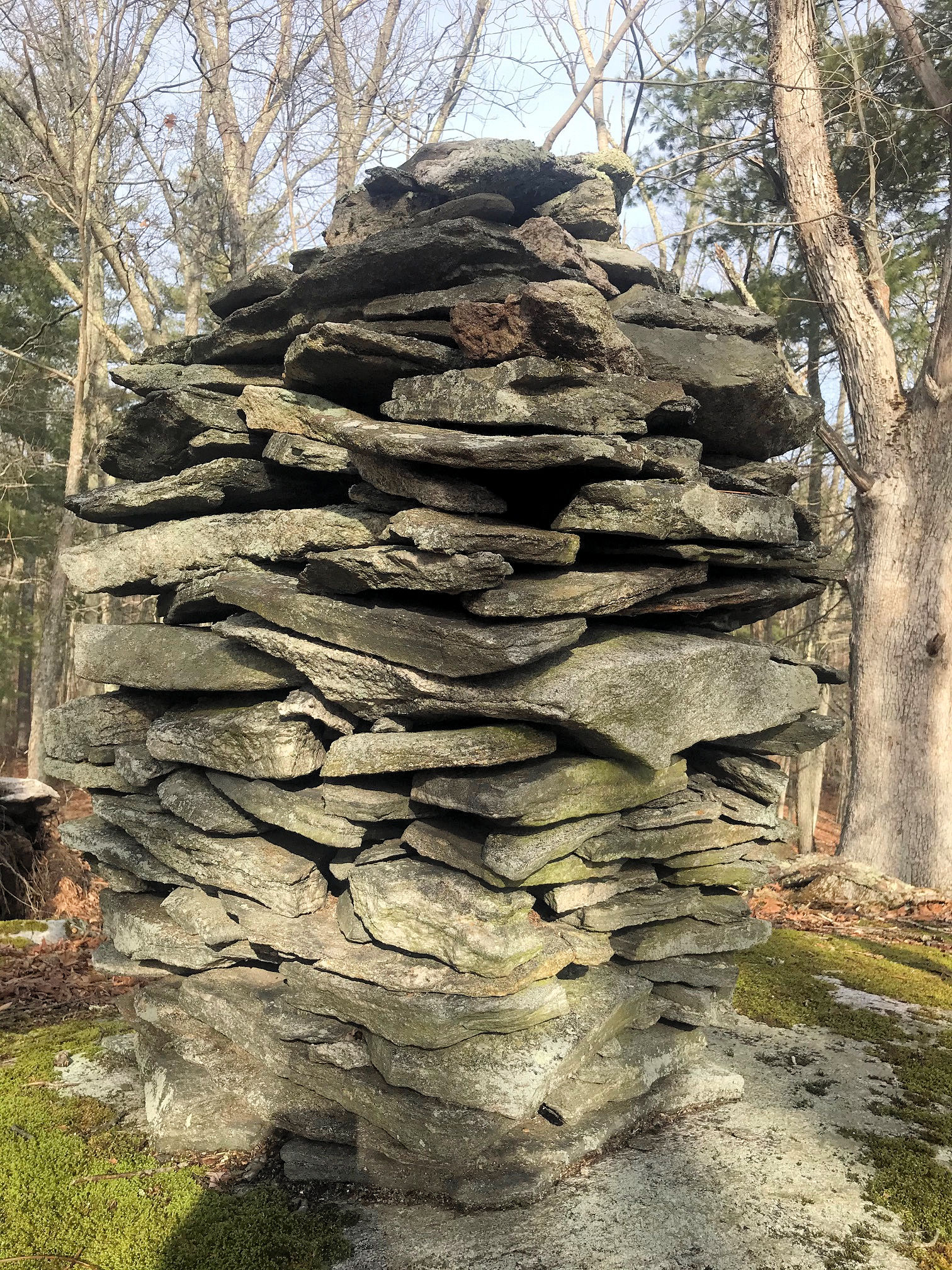 Mansfield ct Simpson-Wood Preserve