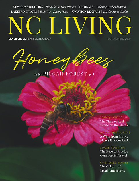 NC Living Fall 2019
