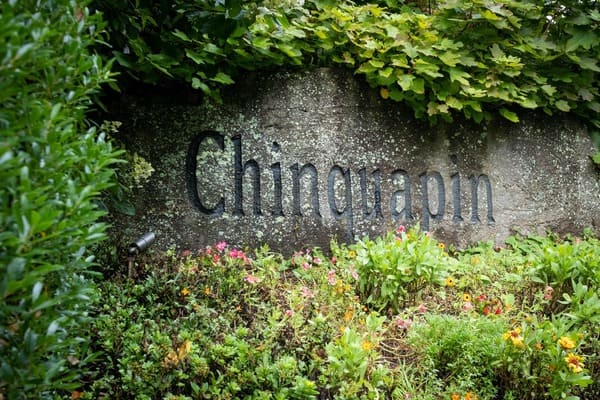 Chinquapin North Carolina