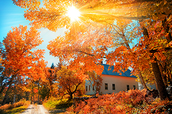 Town of Essex VT | Flat Fee Real Estate