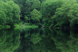 Tacoma Lakes Real Estate Homes Homes For Sale In Litchfield Me