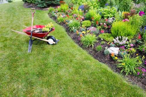 Putting New Plants in Flower Bed