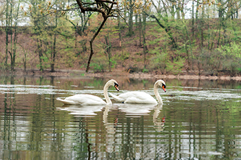 Jamaica Plain Boston 