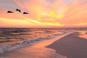 Sunset on Sanibel Island Beaches in Florida
