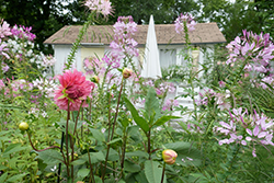 Seasonal Home in Maine