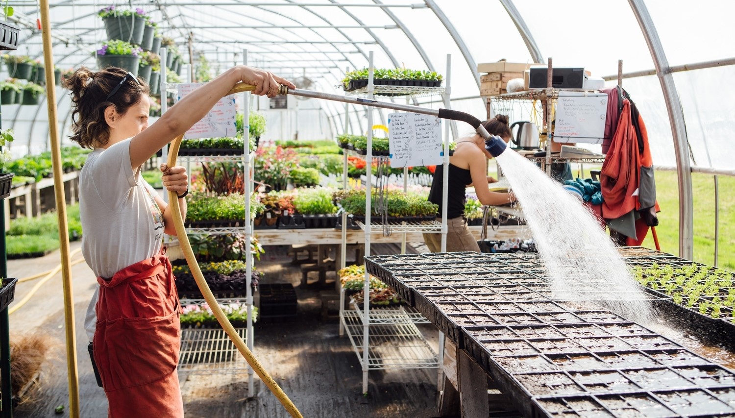 Red Wagon Plants, Hinesburg Vermont