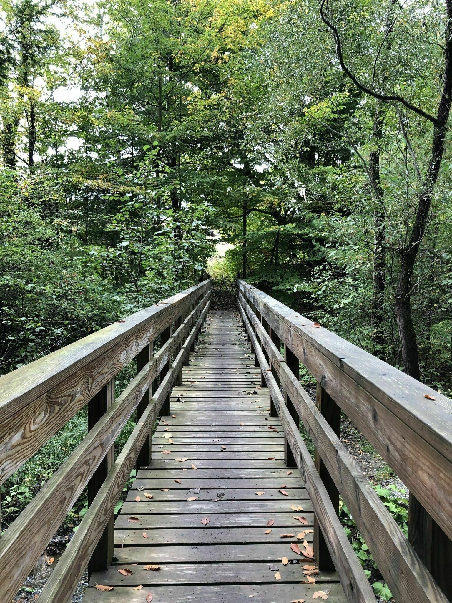 Pedestrian bridge on a wooded trail