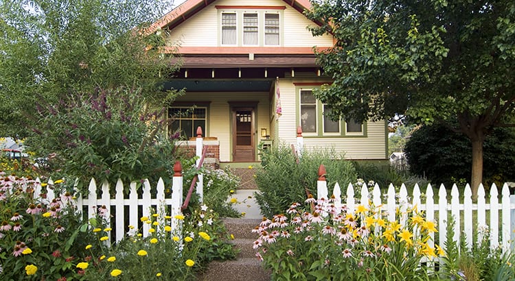 A cute little yellow house with a very springy front garden in bloom.