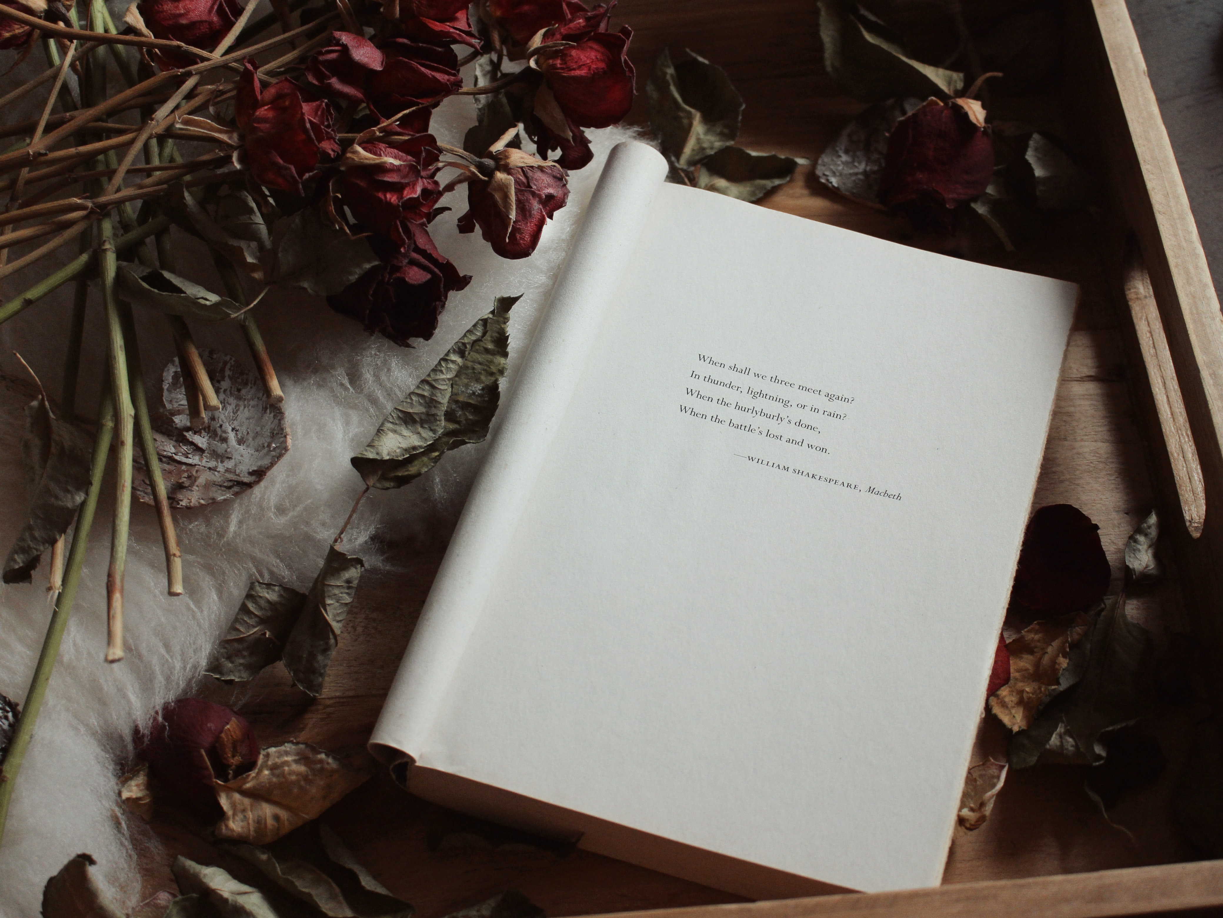 Photo by Elaine Howlin on Unsplash