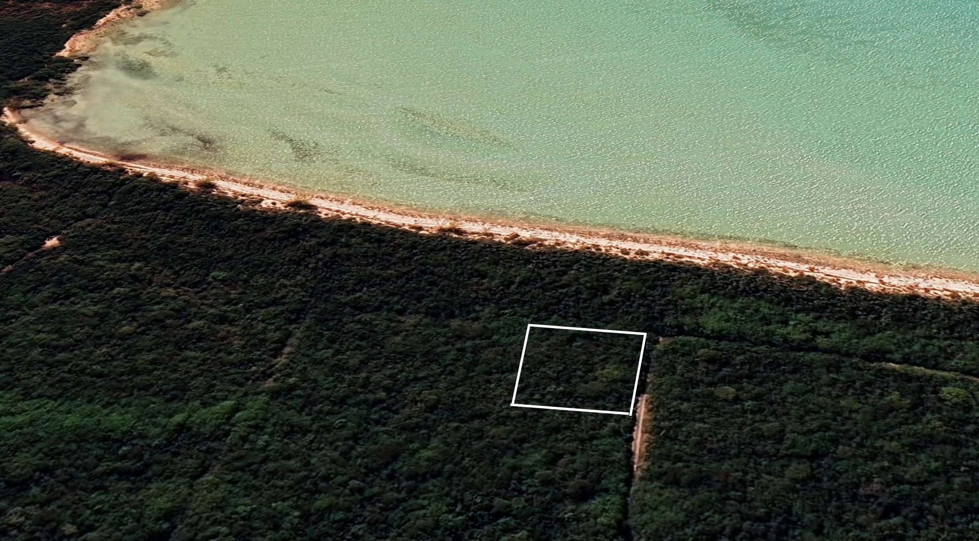 Butter Tarts | Bahamas Realty